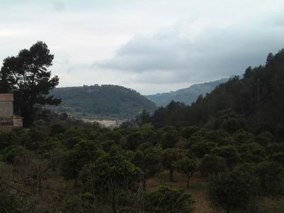 DSCF0120.JPG